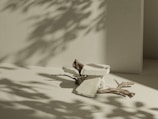 A minimalist scene featuring a composition of rough stones balanced on top of a twisted piece of driftwood. Soft shadows of leaves are cast on the smooth, light-colored surface and wall.