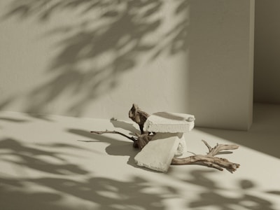 A minimalist scene featuring a composition of rough stones balanced on top of a twisted piece of driftwood. Soft shadows of leaves are cast on the smooth, light-colored surface and wall.