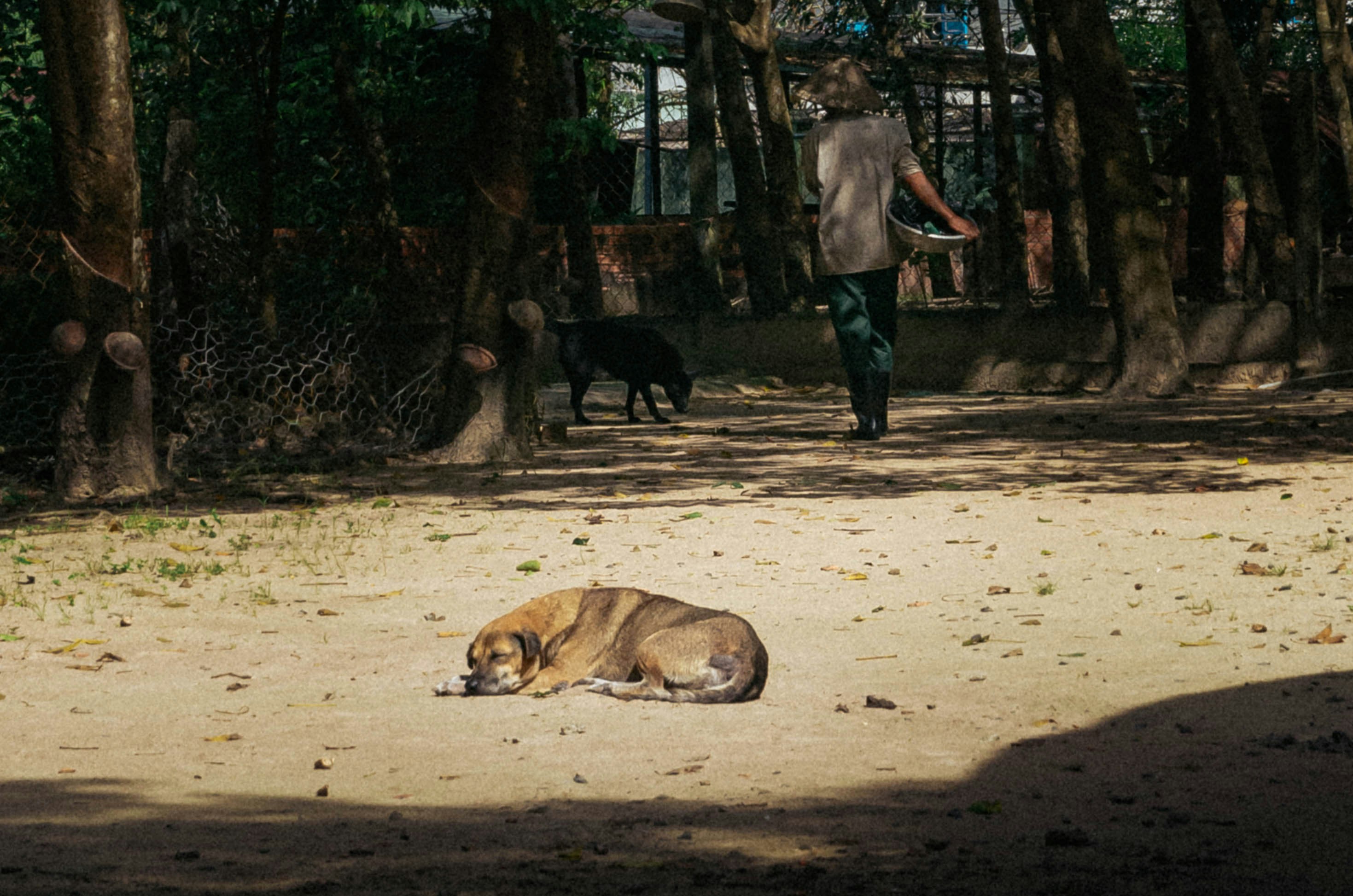 ein Hund, der neben einem Mann auf dem Boden liegt