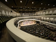An orchestra performing in a warm, intimate concert hall with natural light streaming in.