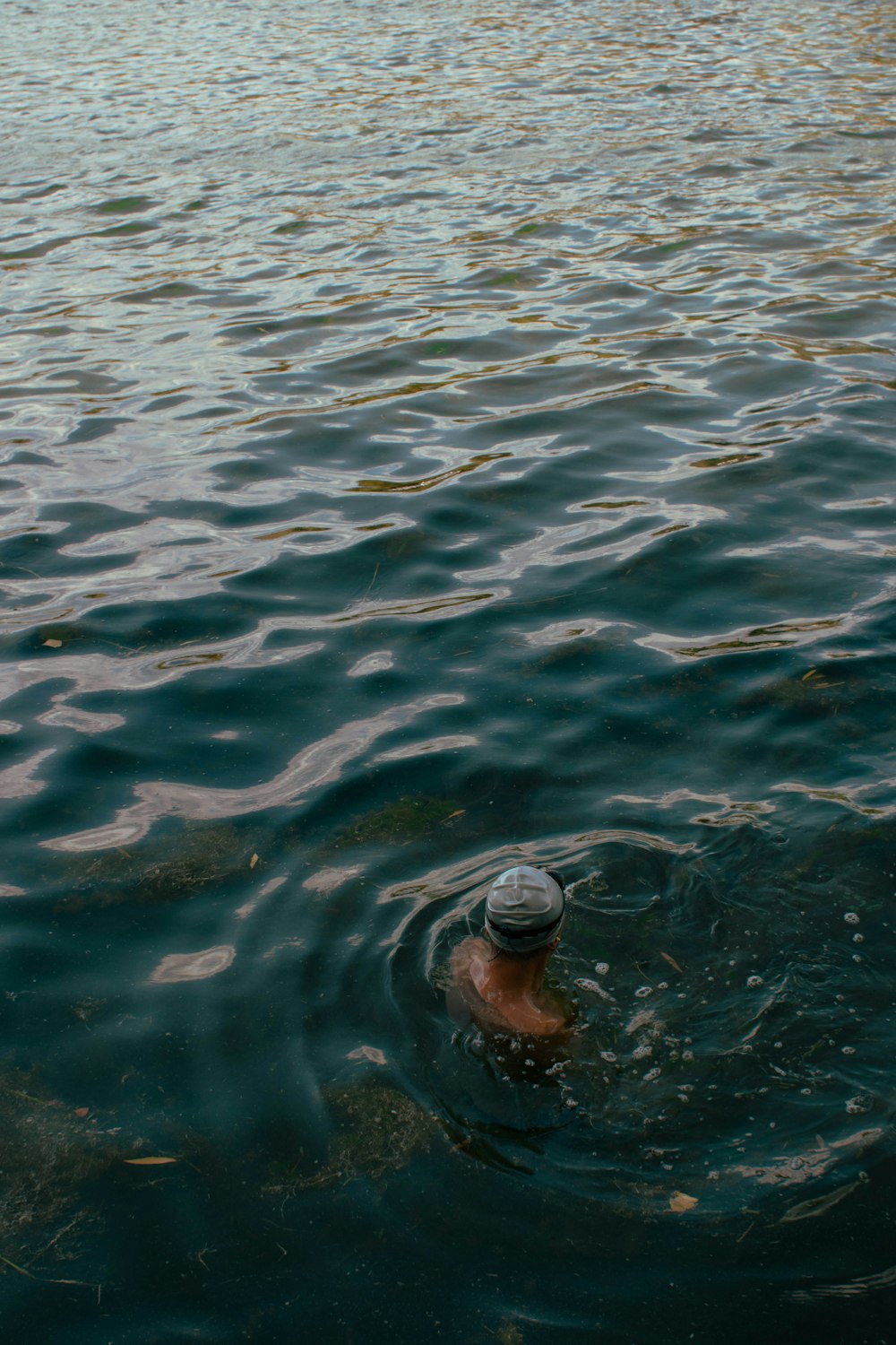 a person swimming in a body of water