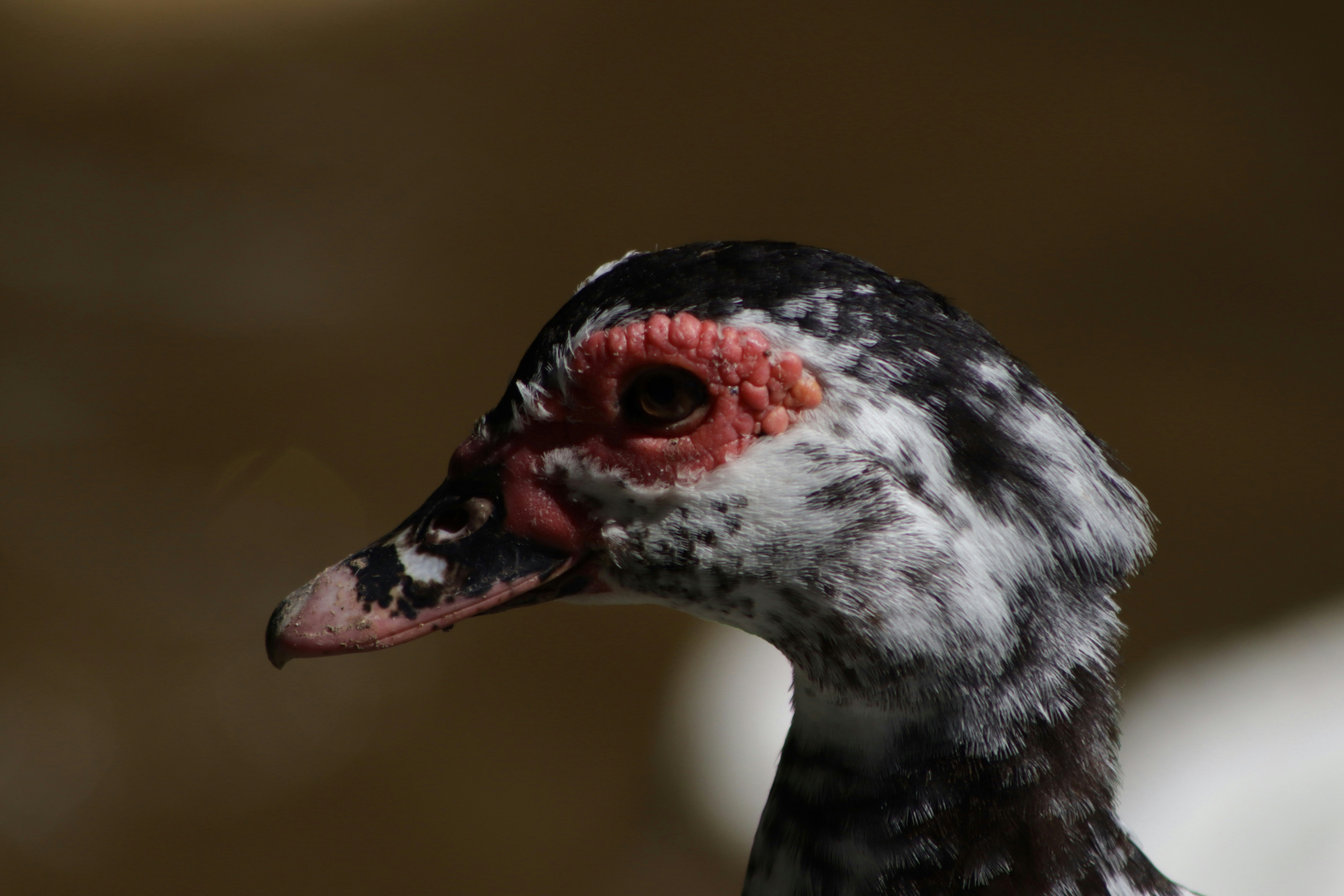 Photo by jorgeel_vm09