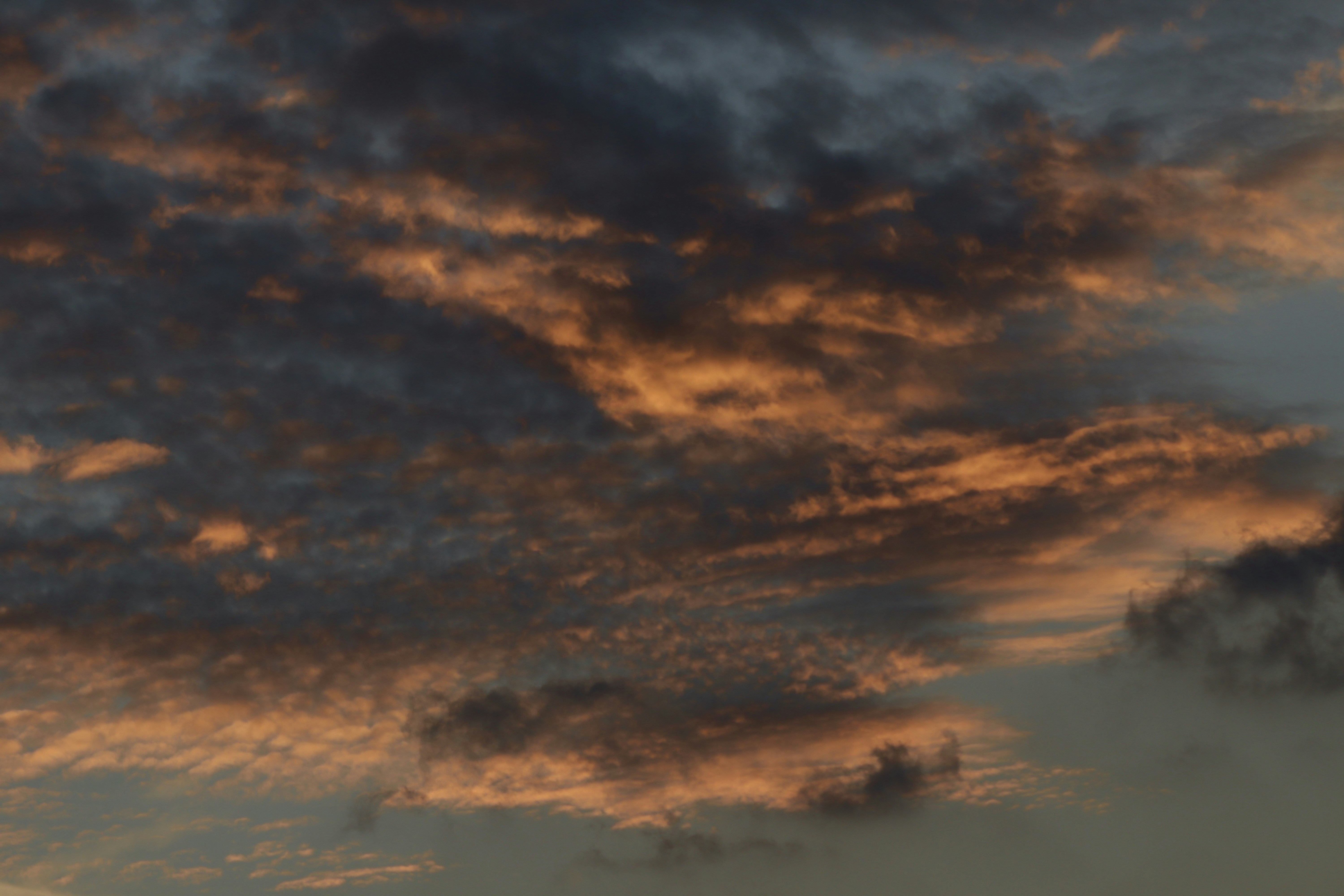 Photo by jorgeel_vm09