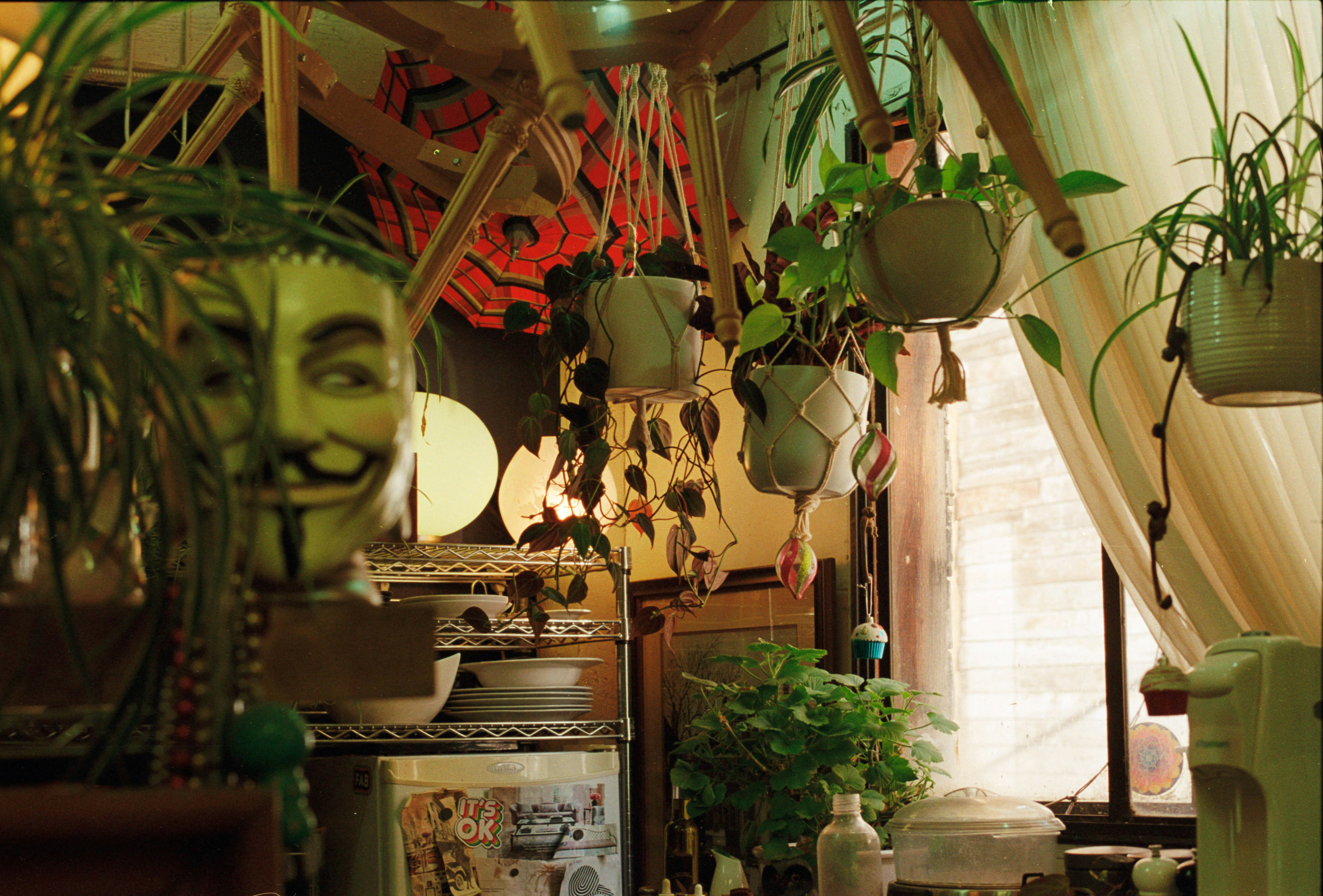 decor image