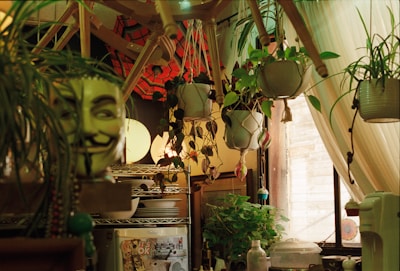 Indoor scene with multiple hanging plants in ceramic pots, surrounded by various pieces of decor. A distinctive mask is prominently displayed alongside decorative string beads. In the background, a shelf is filled with dishes and a refrigerator door is covered with magnets and stickers. Soft lighting filters through sheer curtains near a window, highlighting a cozy and cluttered space.