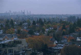 A residential area with a dense collection of houses surrounded by autumn trees in vibrant colors. The background is a skyline of high-rise buildings under an overcast sky, providing a contrast between urban and suburban landscapes.