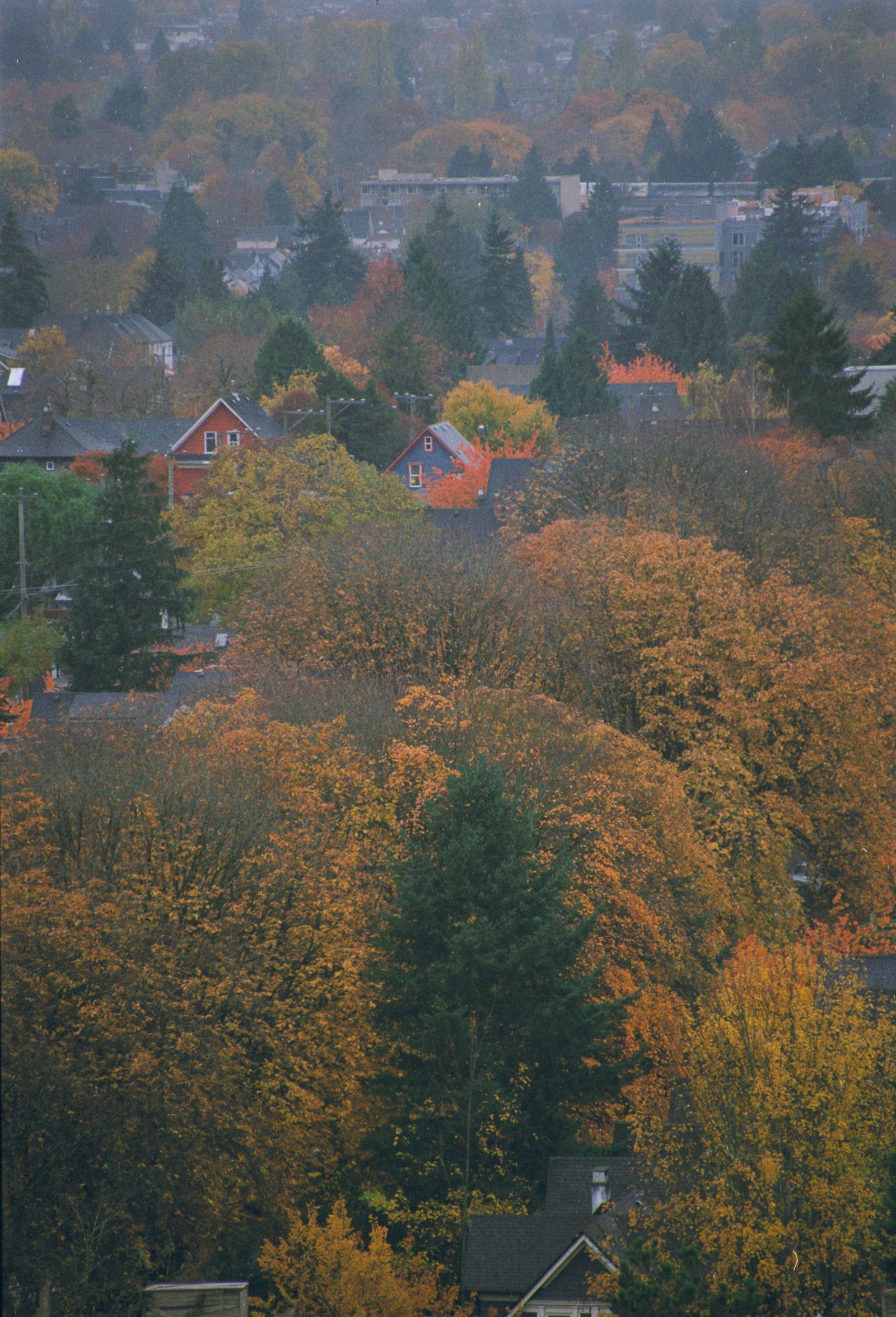 Landmark Title Rulings and What They Mean for Land & Development in Duncan, Mill Bay, Crofton, Chemainus, Shawnigan, Cobble Hill & Lake Cowichan
