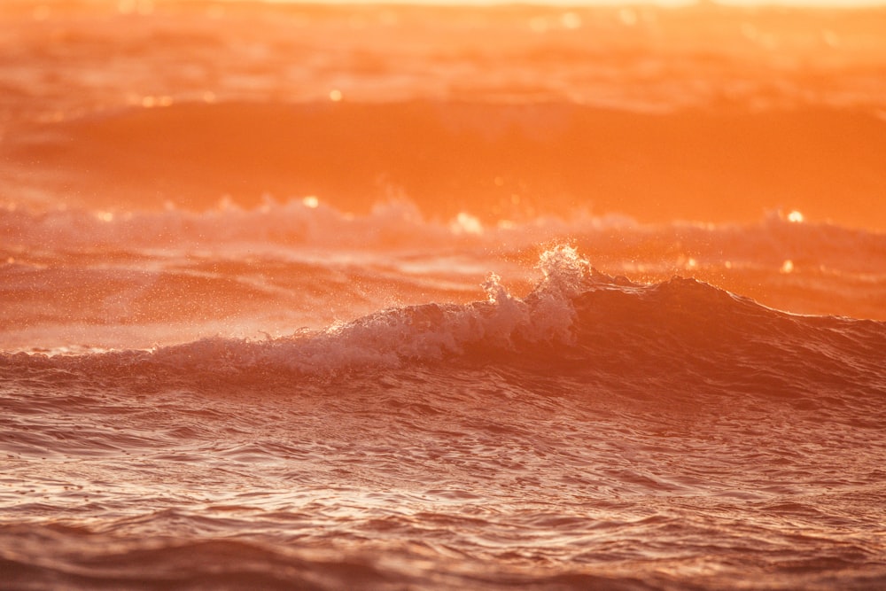 um homem surfando uma onda em cima de uma prancha de surf