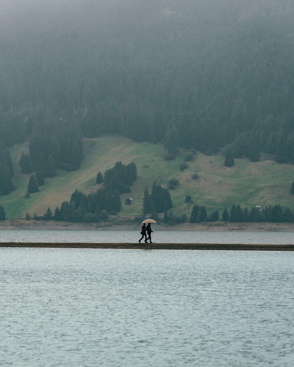 Un par de personas caminando por un lago bajo un paraguas