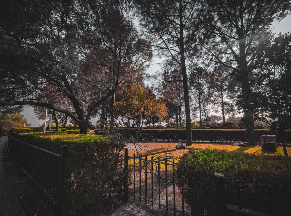 a view of a park with trees and a fence