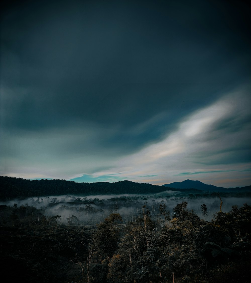 a foggy landscape with mountains in the distance