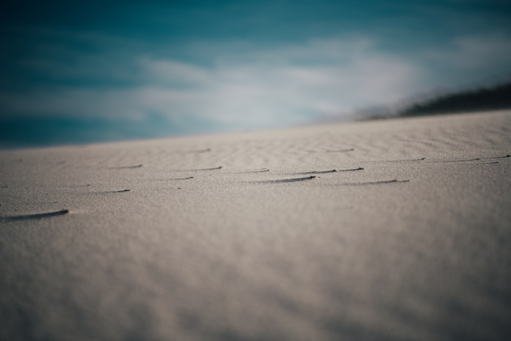 una spiaggia sabbiosa con piccole impronte nella sabbia