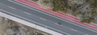 An aerial view of a straight road with red bicycle lanes on each side, surrounded by trees with sparse foliage. A person on a bicycle is riding along one of the lanes.