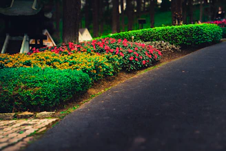 A charming gravel path bordered by vibrant flower beds.