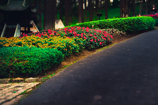 A charming gravel path bordered by vibrant flower beds.