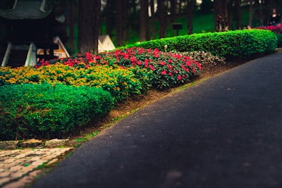 A pathway is bordered by vibrant, well-maintained flower beds featuring red and yellow flowers. Lush green bushes and a slightly blurred background of trees create a serene garden setting.