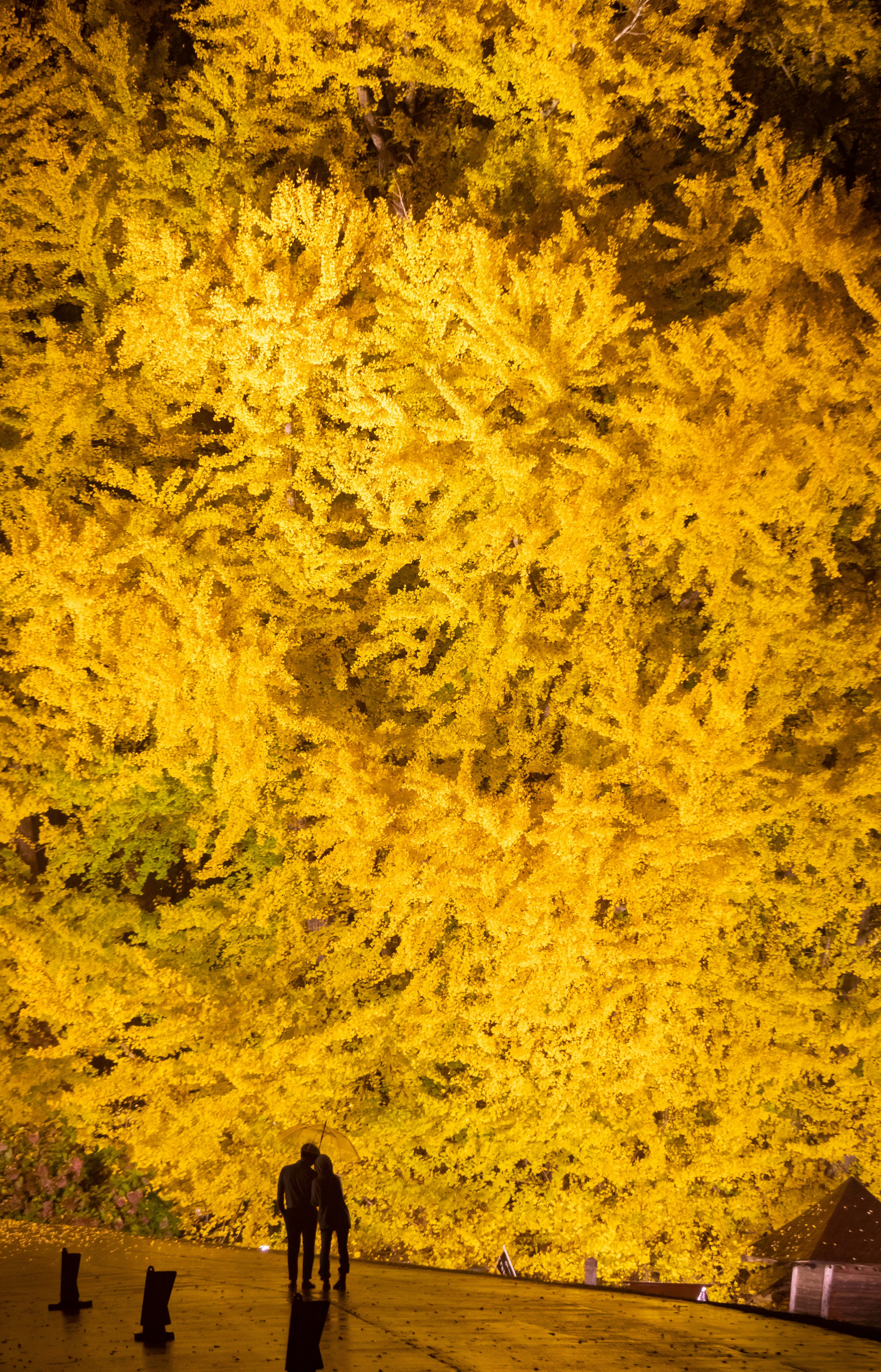 Photo by juntarou555