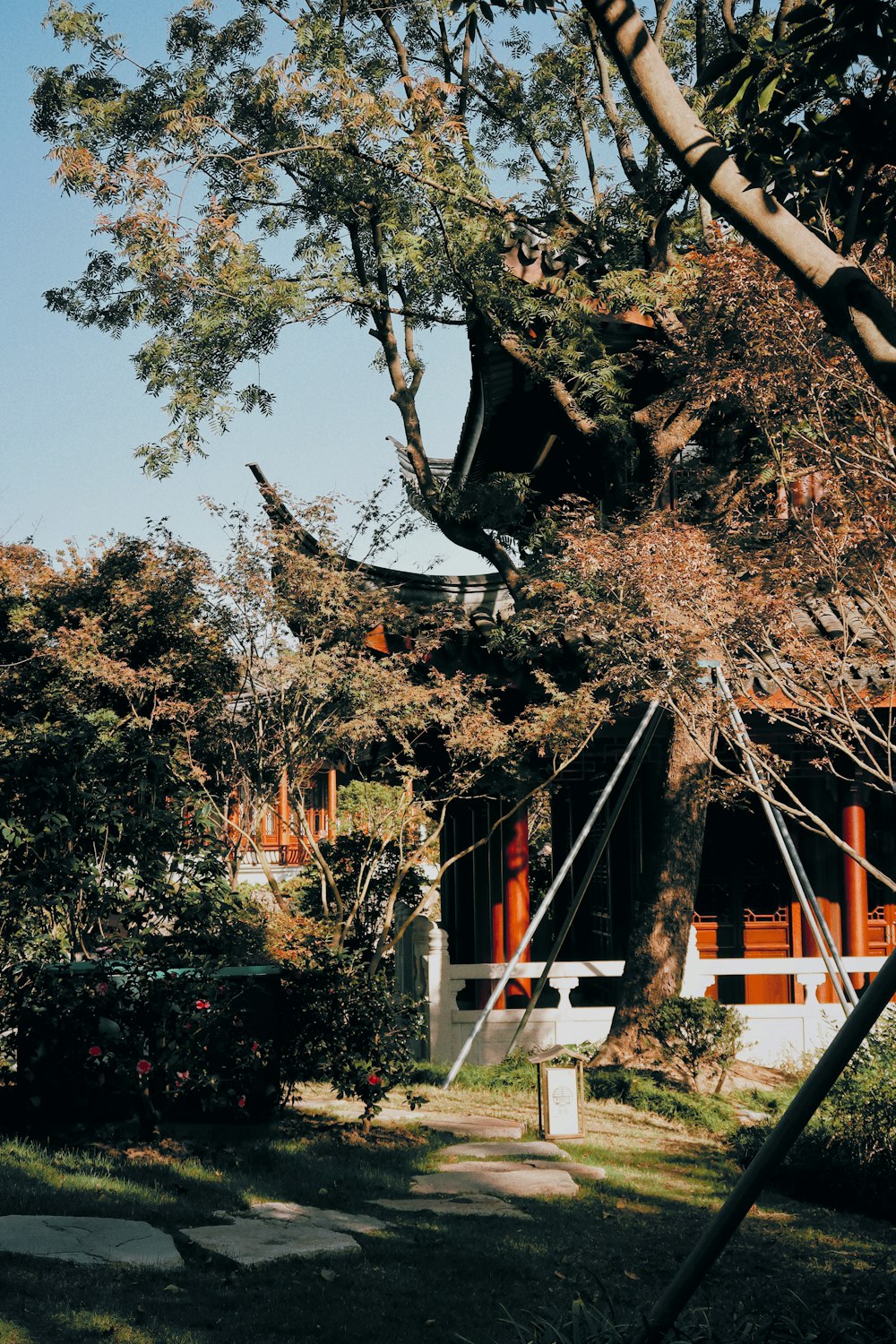 a house with a large tree in front of it