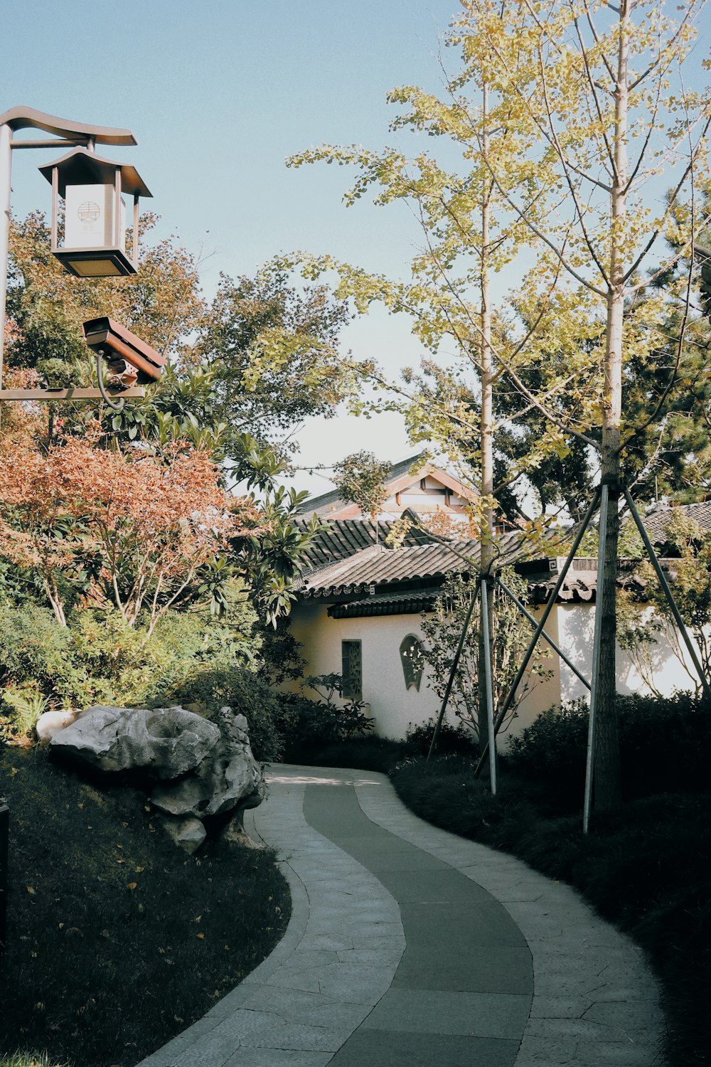 ein Weg, der zu einem Gebäude mit einem Glockenturm im Hintergrund führt