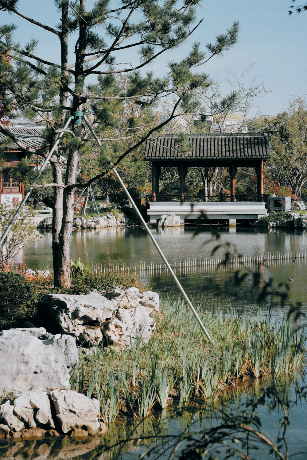 a pond in a park with a pavilion in the background