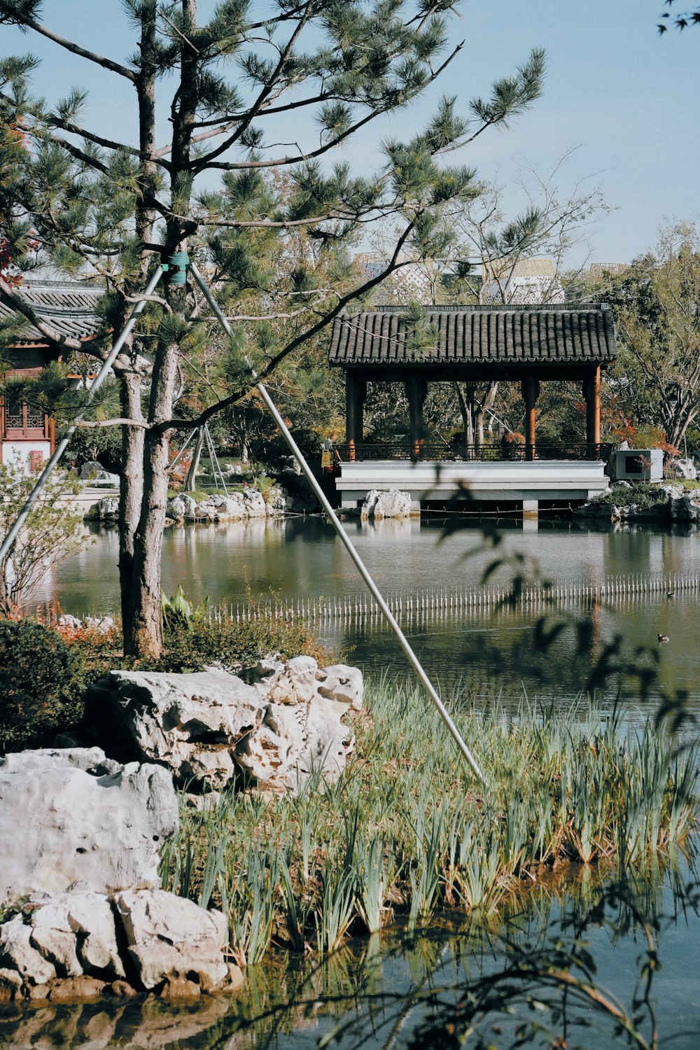 Ein Teich in einem Park mit einem Pavillon im Hintergrund