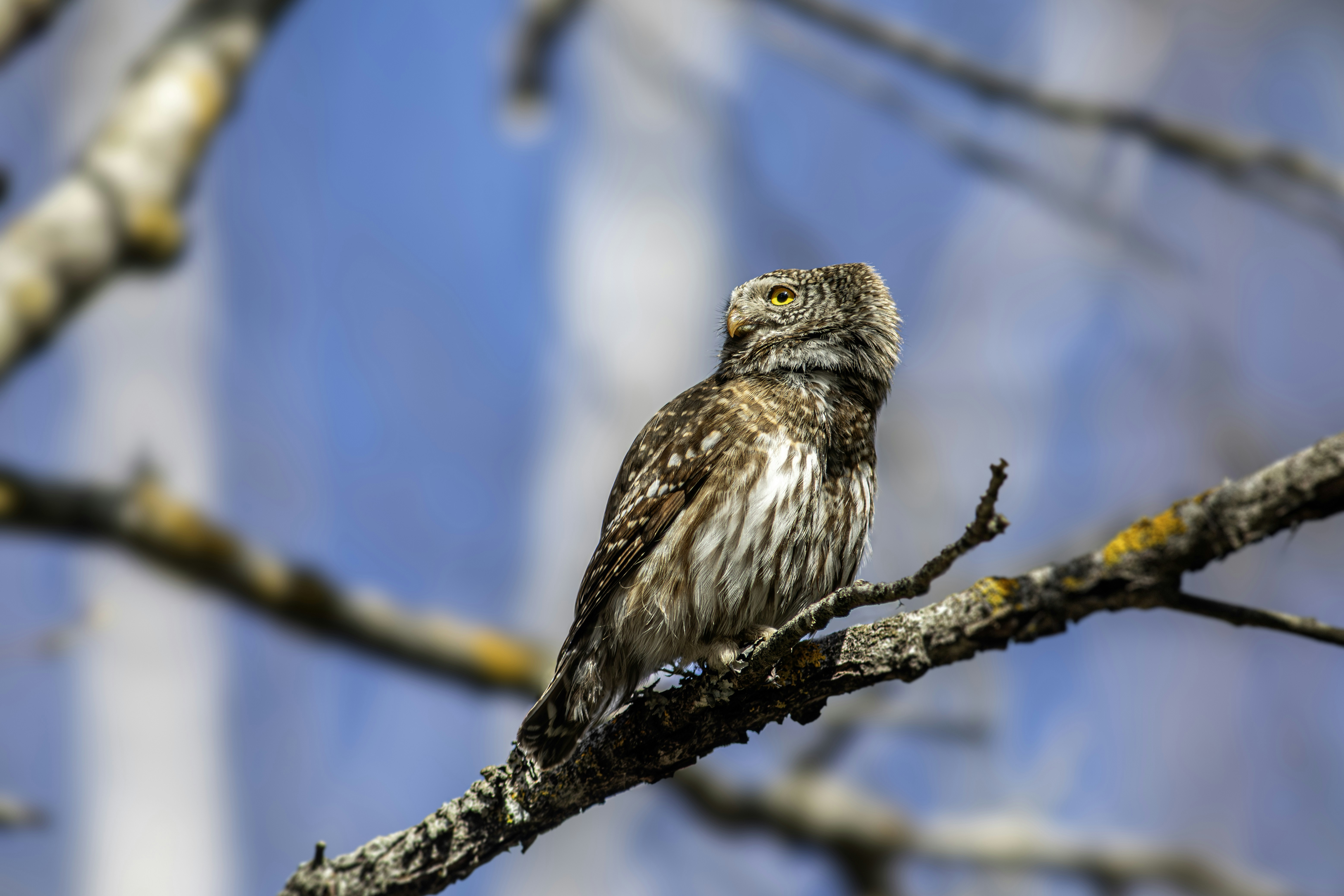 Photo by erik_karits