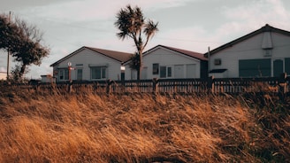 A row of white, wooden beach houses with slanted roofs is situated behind a rustic wooden fence. In the foreground, golden brown grasses sway gently, suggesting a breezy day. A tall, thin palm tree rises between the houses, casting slight shadows in the warm light.