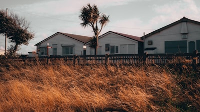 A row of white, wooden beach houses with slanted roofs is situated behind a rustic wooden fence. In the foreground, golden brown grasses sway gently, suggesting a breezy day. A tall, thin palm tree rises between the houses, casting slight shadows in the warm light.