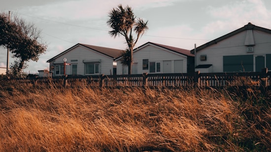 A row of white, wooden beach houses with slanted roofs is situated behind a rustic wooden fence. In the foreground, golden brown grasses sway gently, suggesting a breezy day. A tall, thin palm tree rises between the houses, casting slight shadows in the warm light.
