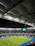 A joyful football fan cheering in a stadium under bright lights.