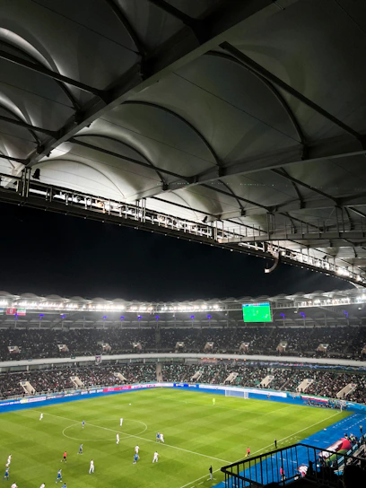 A vibrant football field under stadium lights with fans cheering in the background.