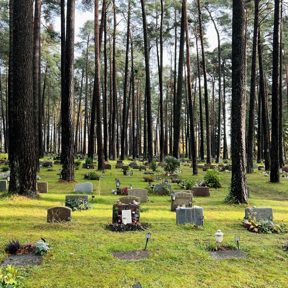 a cemetery with many headstones and trees in the background