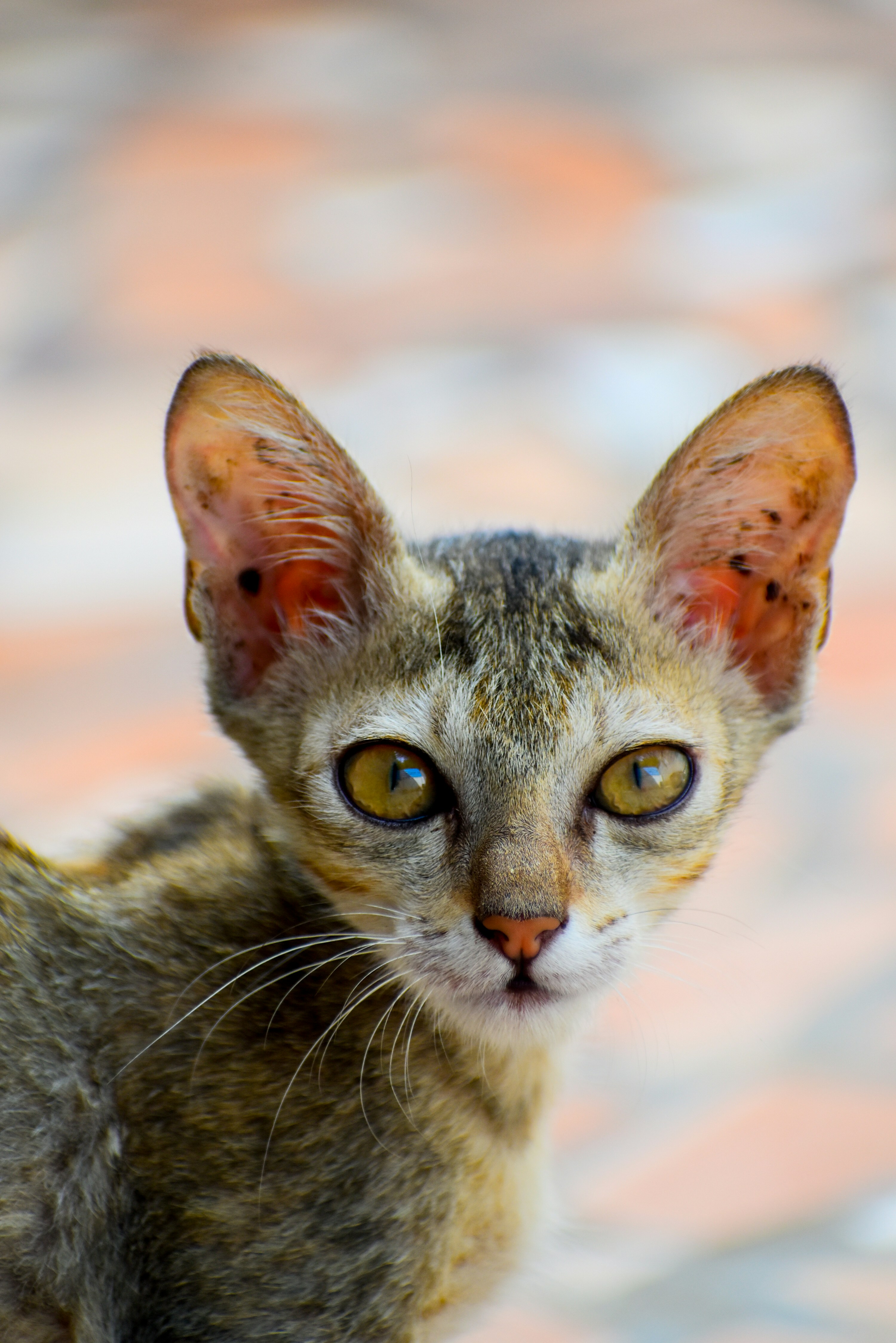 Photo by hacker_camerwork