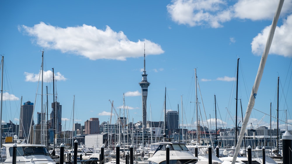 a harbor filled with lots of boats under a blue sky