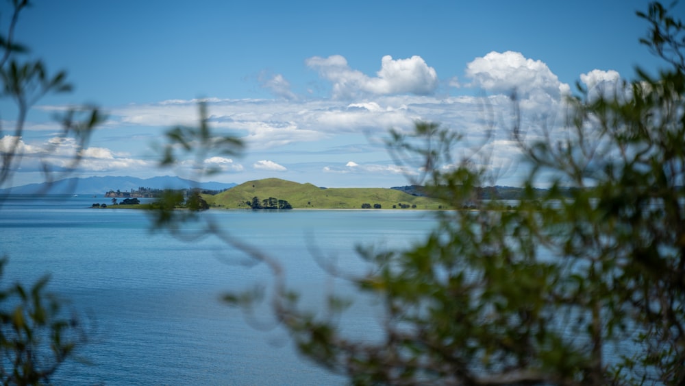 a body of water with trees in the foreground