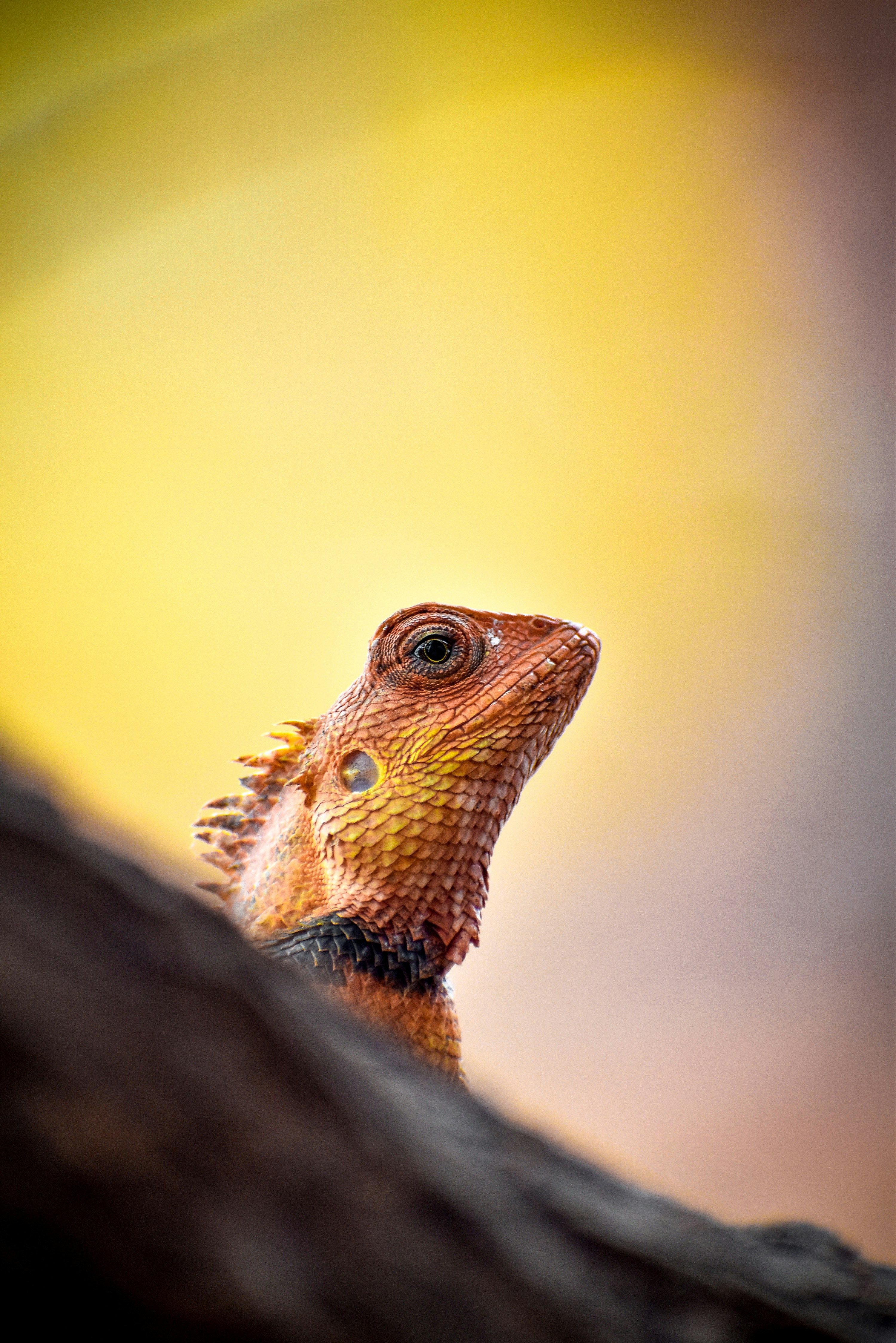 Photo by hacker_camerwork