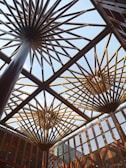 Wooden architectural structures resembling geometric patterns extend towards the sky, with open sky visible through a glass ceiling. The design features intricate wooden slats forming a lattice pattern, creating a striking visual effect.