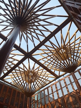 Wooden architectural structures resembling geometric patterns extend towards the sky, with open sky visible through a glass ceiling. The design features intricate wooden slats forming a lattice pattern, creating a striking visual effect.