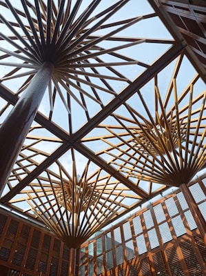 Wooden architectural structures resembling geometric patterns extend towards the sky, with open sky visible through a glass ceiling. The design features intricate wooden slats forming a lattice pattern, creating a striking visual effect.