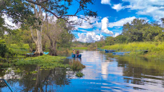 a group of people in canoes paddling down a river