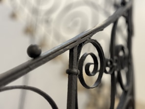 Ornate black wrought iron railing with intricate spiral patterns set against a softly blurred background.