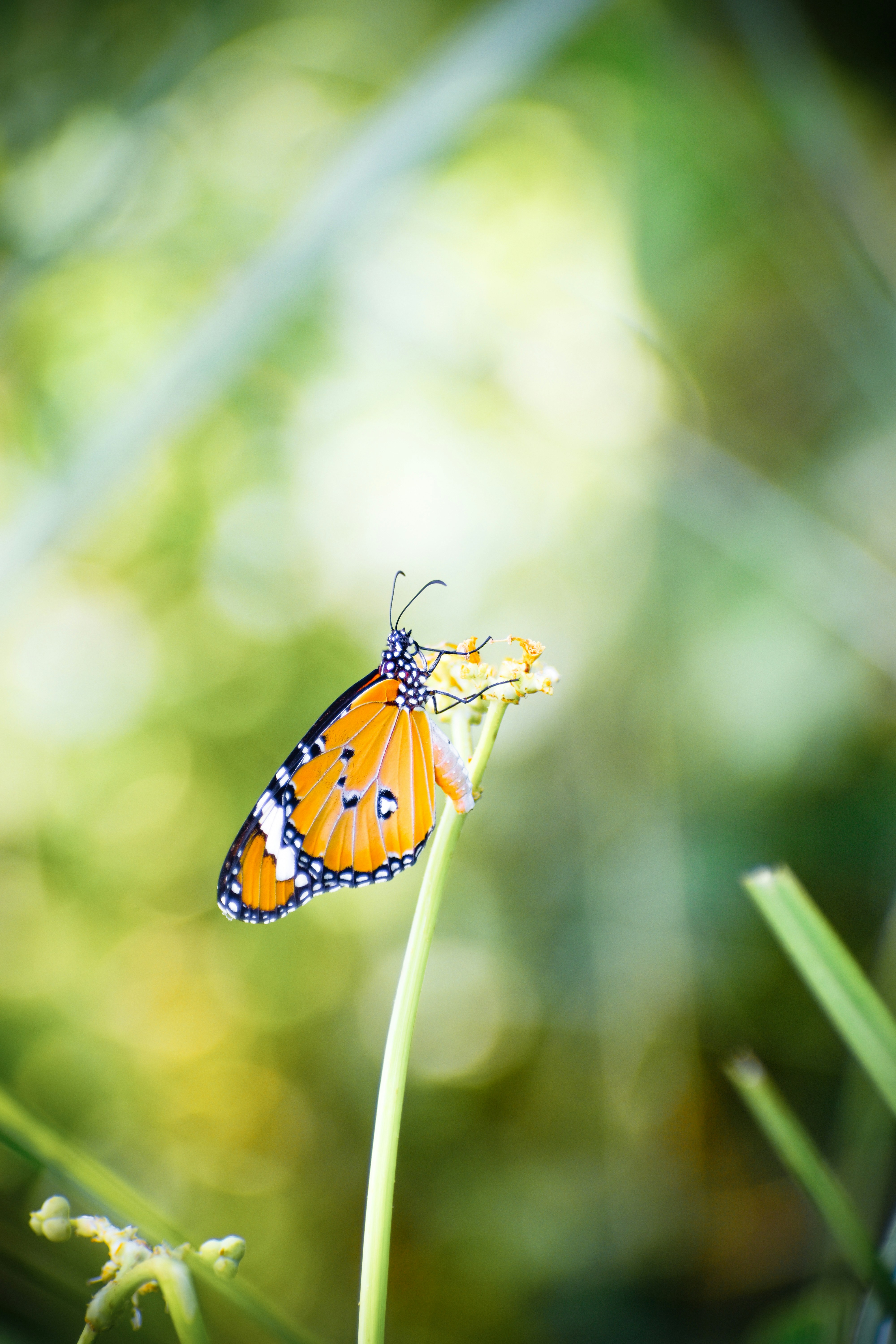 Photo by hacker_camerwork