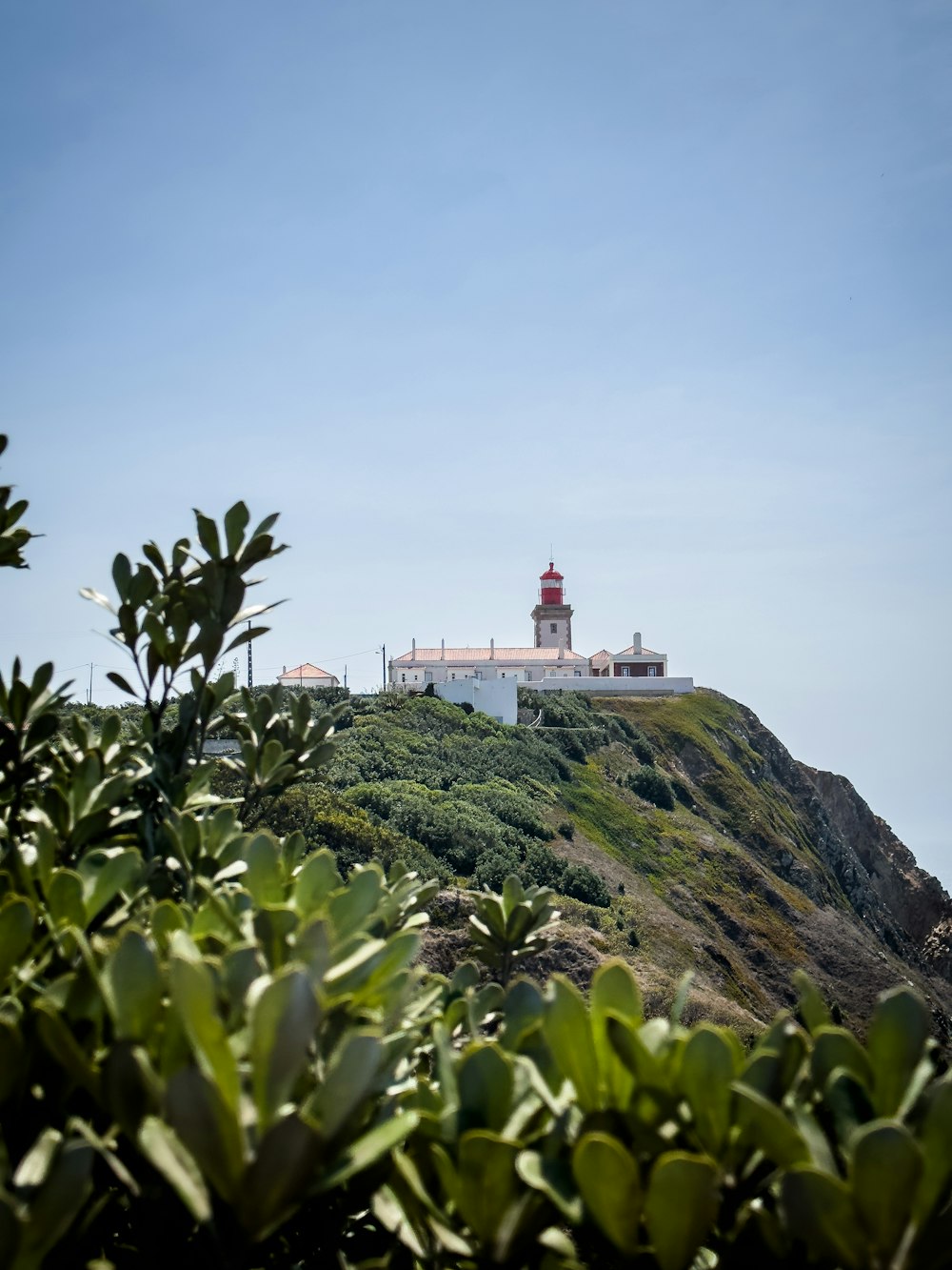 a lighthouse on top of a hill surrounded by greenery