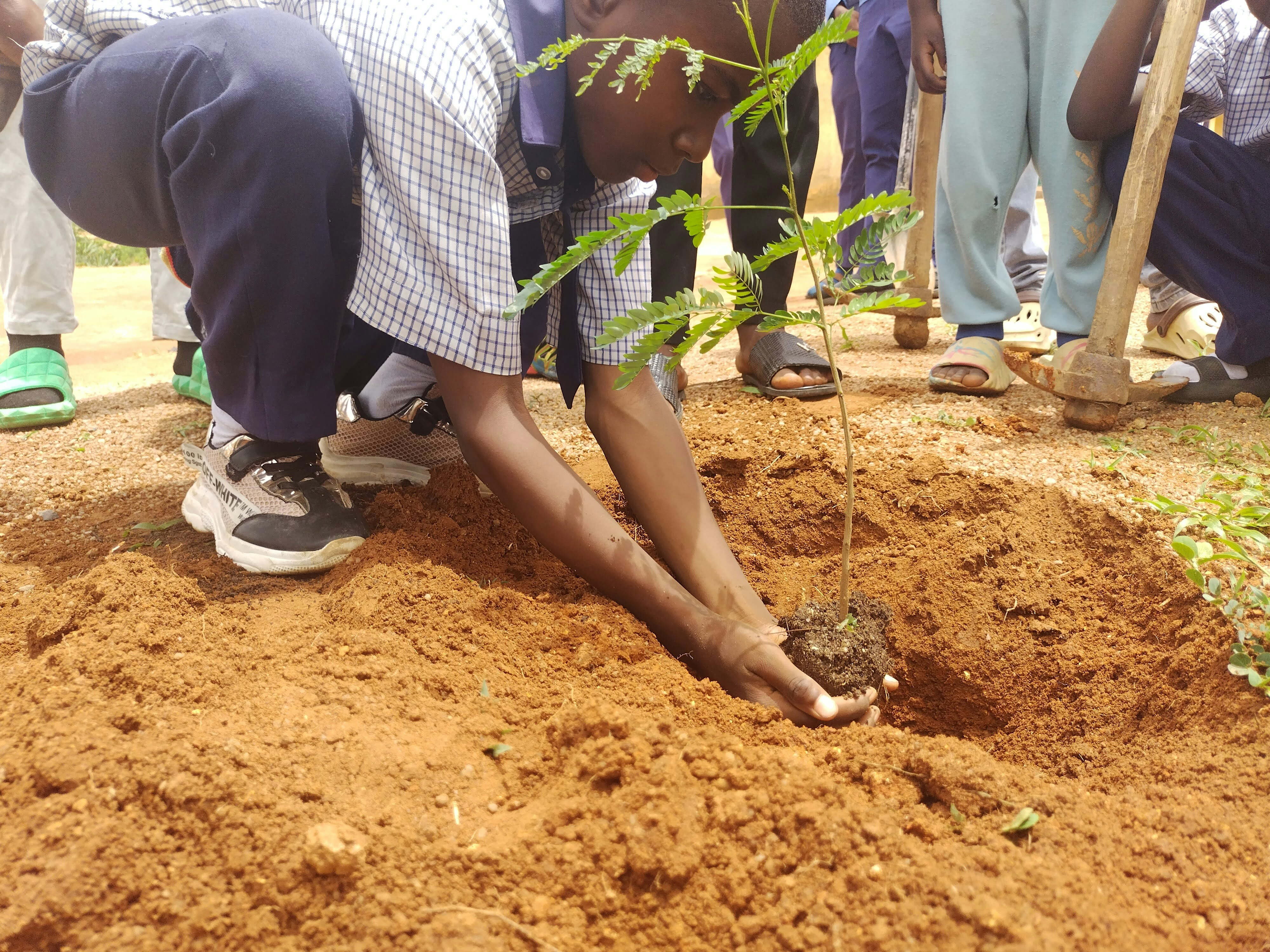 Boîte de graines mémoire