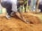 A person is planting a small tree sapling into a hole in the ground, surrounded by soil. Several other individuals are present in the background, some holding tools.