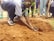 A group of enthusiastic youth planting trees together.