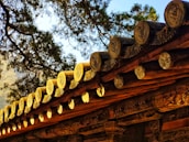 A preserved cedar roof glowing warmly under sunlight, illustrating protection and care.
