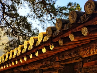 A traditional wooden roof with intricately carved details on the tiles, arranged in a row under the sunlight. The sunlight casts a warm glow on the wooden elements, highlighting the carvings. Branches of a tree with green leaves extend over the roof, creating a harmonious blend of nature and architecture.