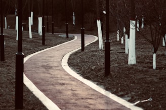 A winding paved road flanked by young saplings and streetlights in the Godrej Plots community.