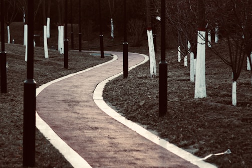 A winding paved road flanked by young saplings and streetlights in the Godrej Plots community.